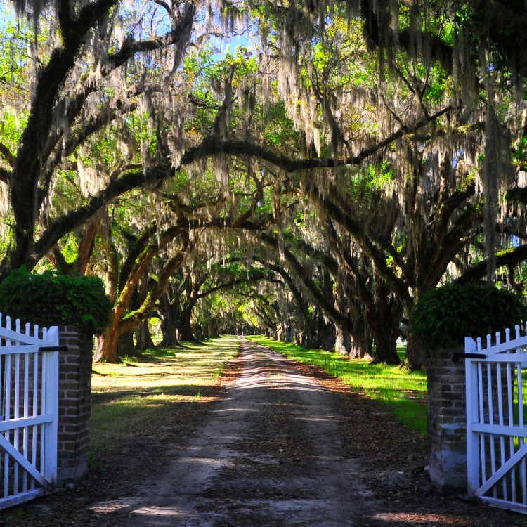 Garage door and gates in San Diego, CA